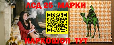 прущие грибы Комсомольск-на-Амуре
