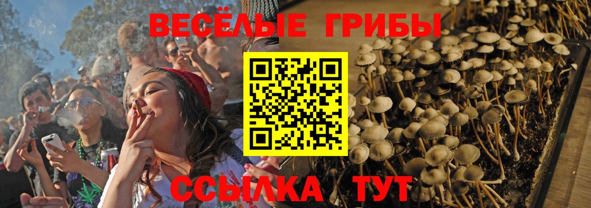 Дмитров  Галлюциногенные грибы GOLDEN TEACHER  Вход с VPN  Галлюциногенные грибы MAGIC MUSHROOMS 